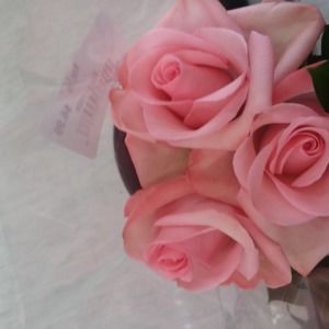 Meet your Posher, Detria heather ana